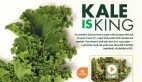 Kale is King Article